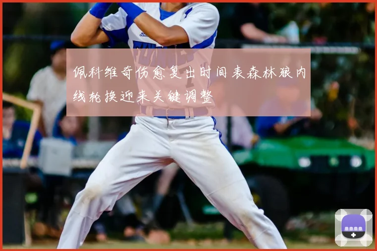 佩科维奇伤愈复出时间表森林狼内线轮换迎来关键调整