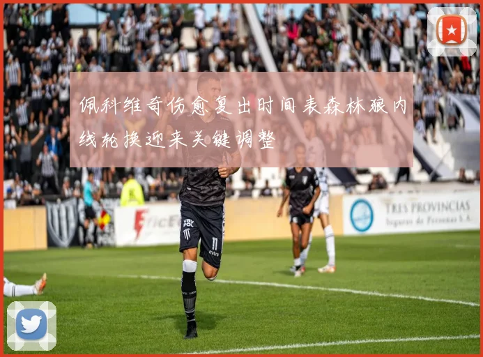 佩科维奇伤愈复出时间表森林狼内线轮换迎来关键调整