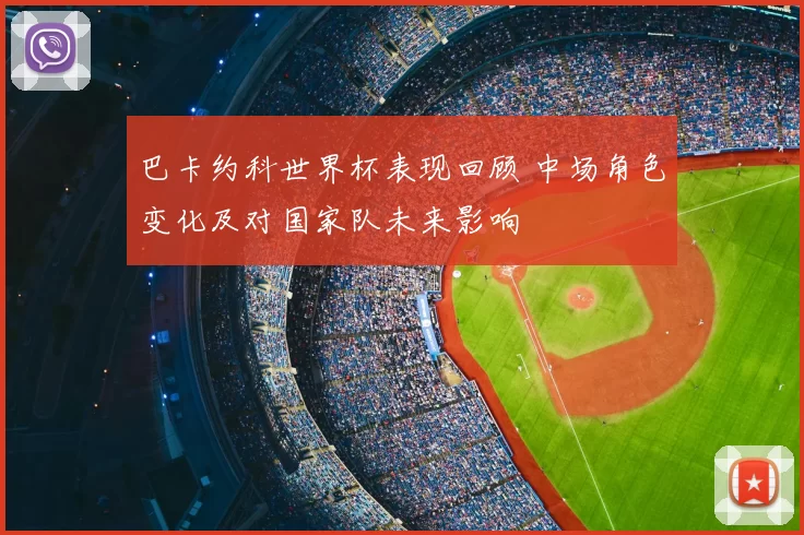 巴卡约科世界杯表现回顾 中场角色变化及对国家队未来影响