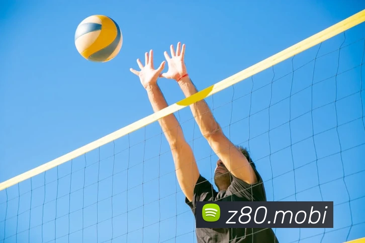 App Interface Preview